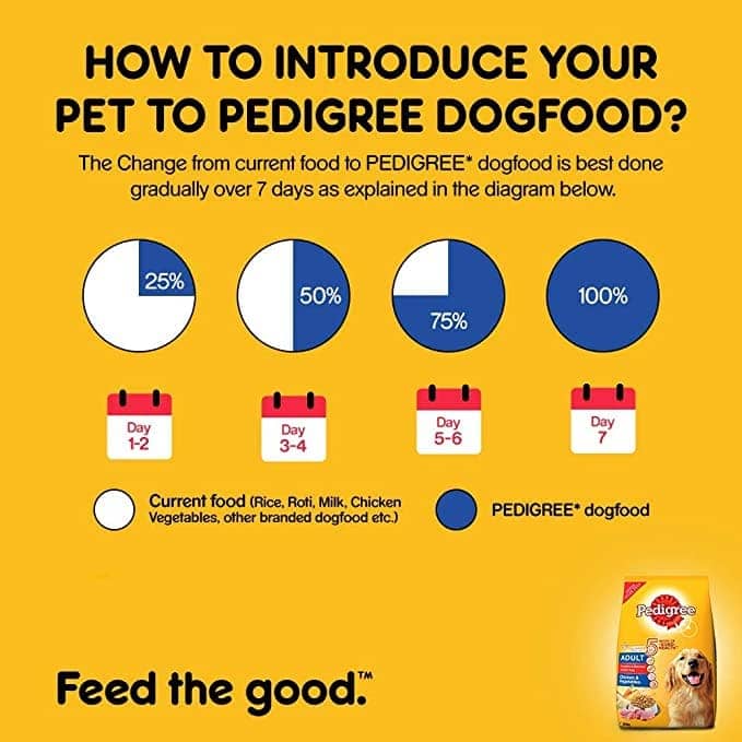 Pedigree Chicken & Liver Chunks in Gravy Wet and Chicken & Vegetables Dry Adult Dog Food Combo