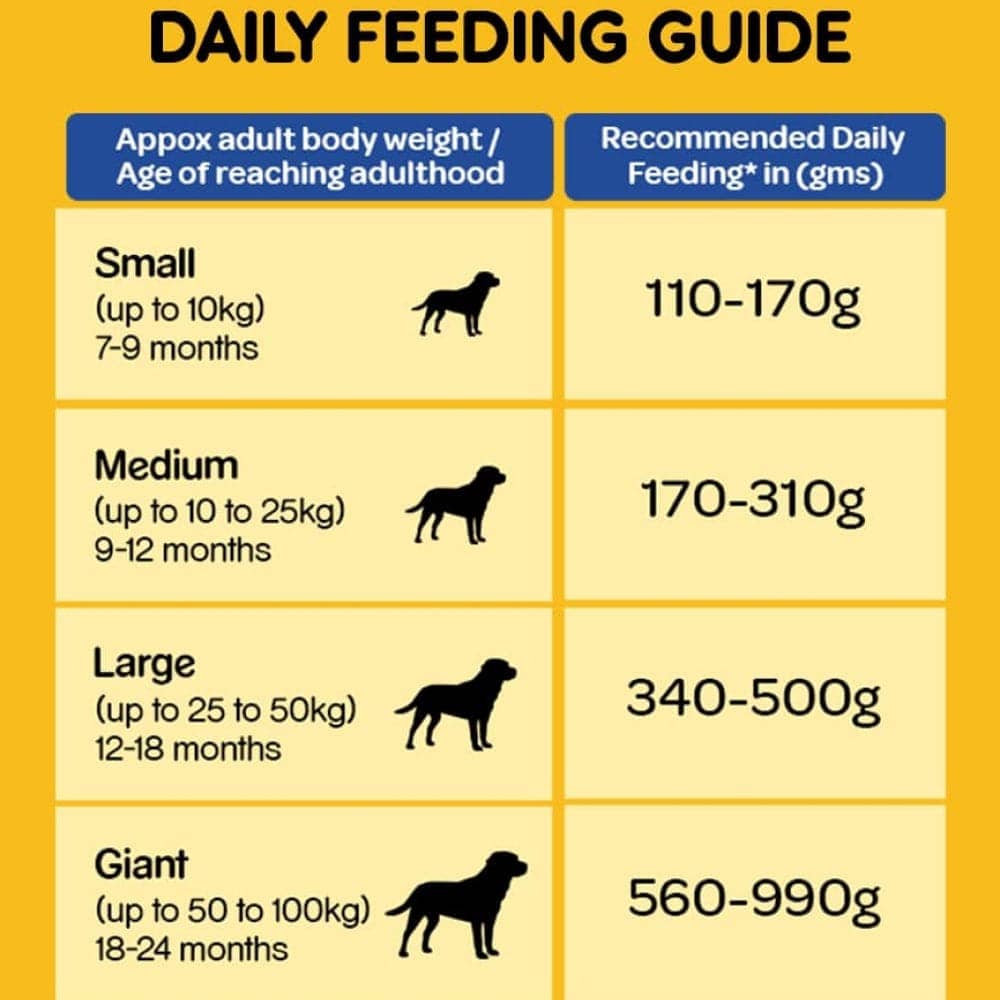 Pedigree Chicken & Liver Chunks in Gravy Wet and Chicken & Vegetables Dry Adult Dog Food Combo