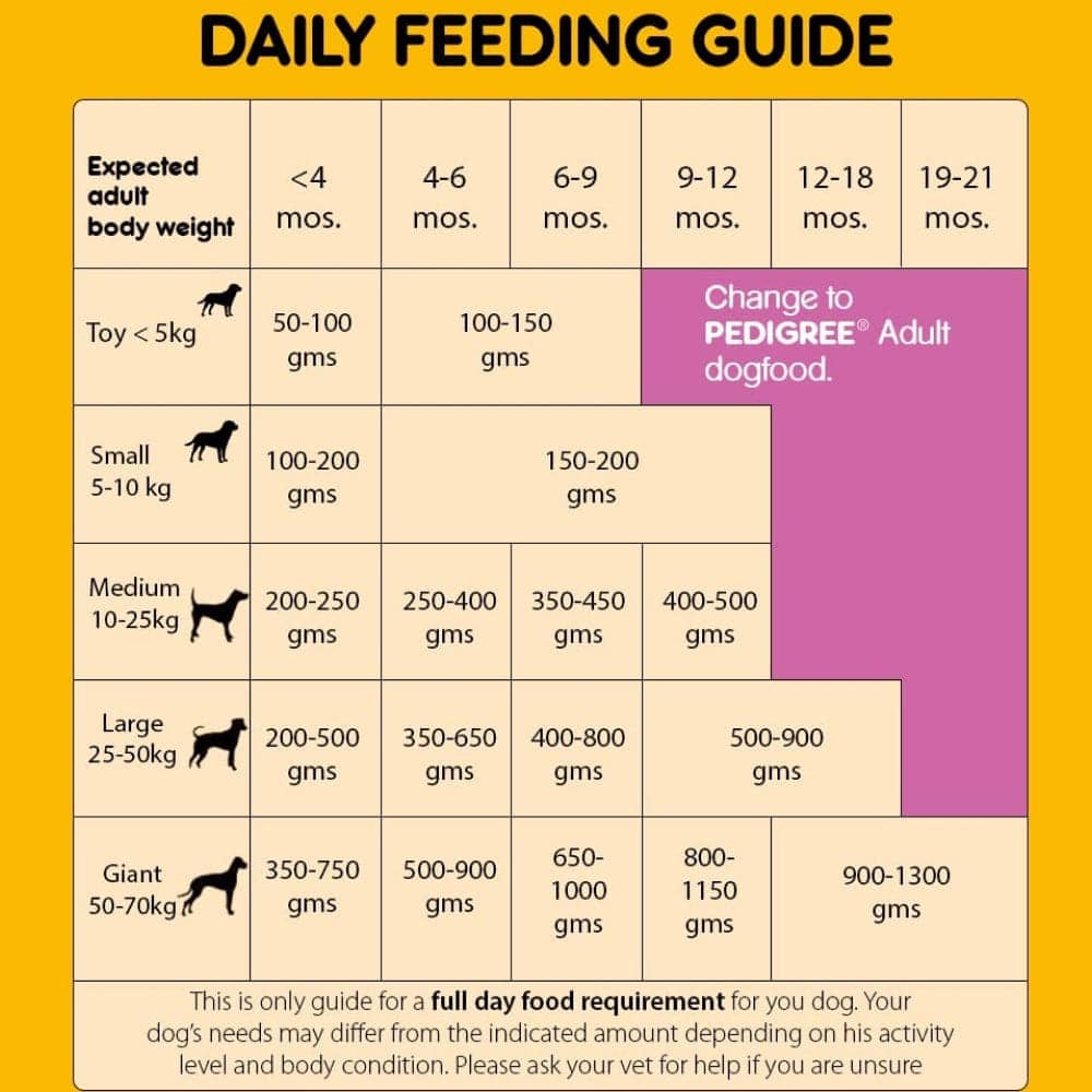 Pedigree Chicken Chunks in Gravy Pouch Puppy Wet Food and Chicken & Milk Puppy Dry Food Combo