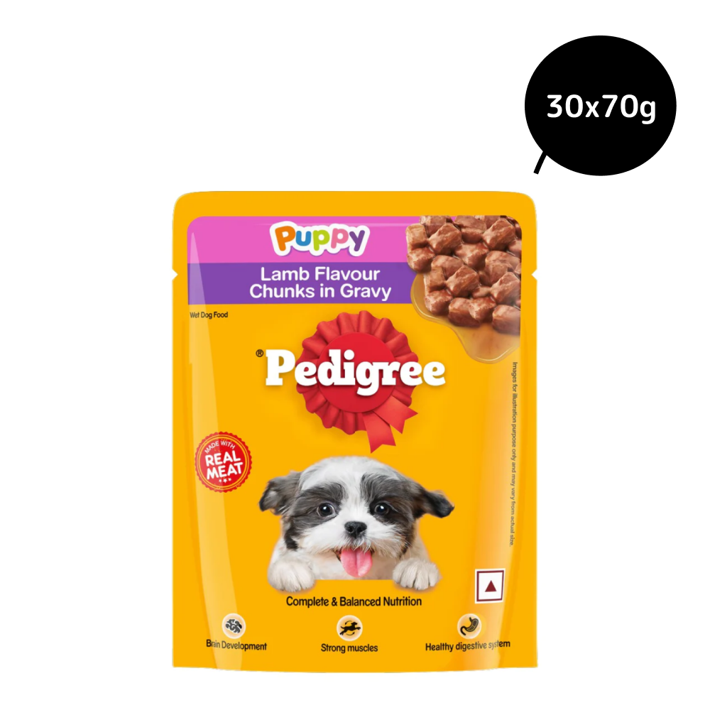 Pedigree Lamb Flavour Chunks in Gravy Puppy Wet Food