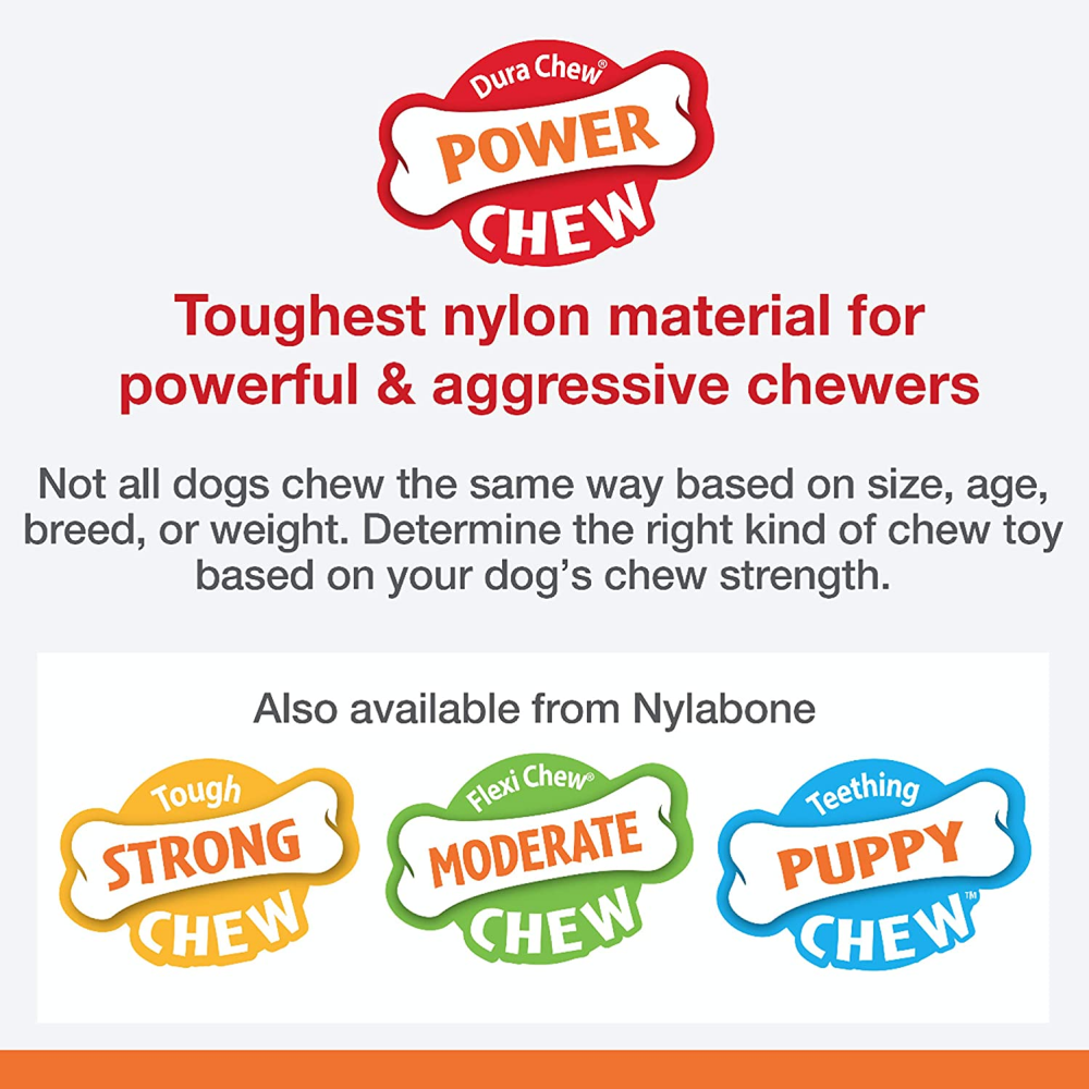 Nylabone Power Chew Flavor Frenzy Textured Bone Toy for Dogs (Yellow, Brown)