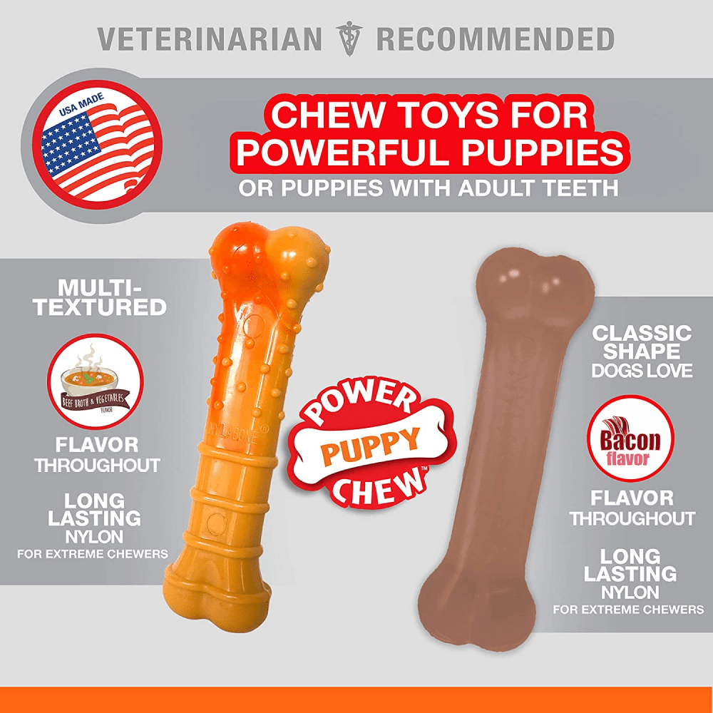 Nylabone Beef Broth ,Veggies and Bacon Flavored Power Chew Twin Bone (Orange,Brown)