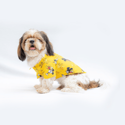 Pawgypets Mickey Casual Shirt for Dogs and Cats (Yellow)