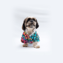 Pawgypets Multi Heart Casual Shirt for Dogs and Cats